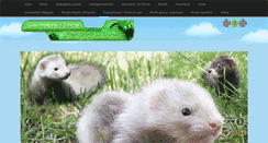 Desktop Screenshot of goreny.com
